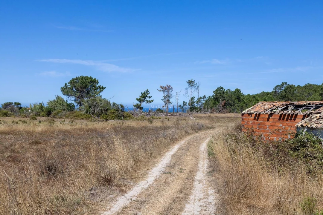 Terreno para Venda em Rogil Foto 7