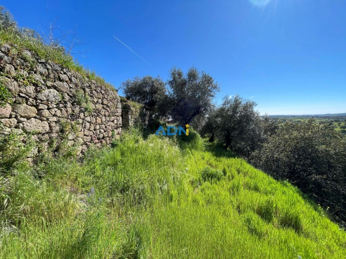 Moradia T4 para Venda em Zebreira e Segura Foto 12