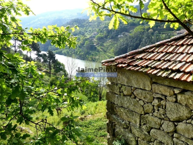 Quinta T0 para Venda em Marco Foto 3