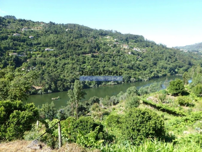 Quinta T0 para Venda em Marco Foto 7