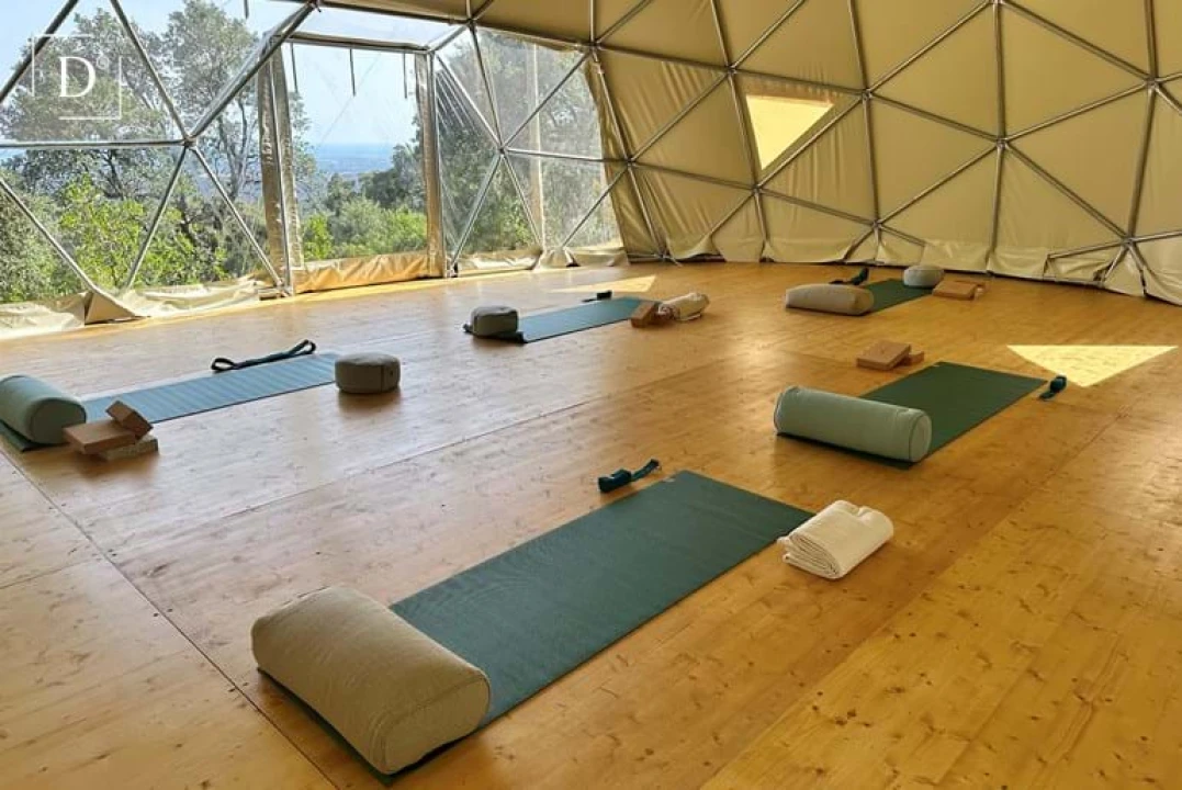 Negócio para Venda em Monchique Foto 79