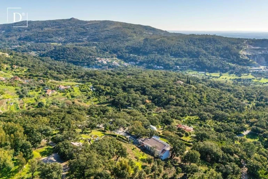 Negócio para Venda em Monchique Foto 98