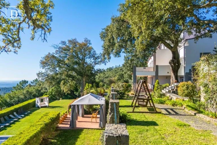 Negócio para Venda em Monchique Foto 107