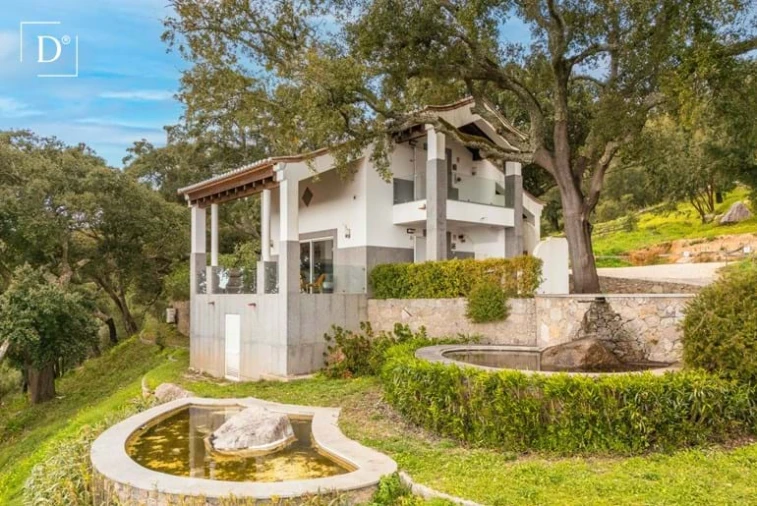 Negócio para Venda em Monchique Foto 19