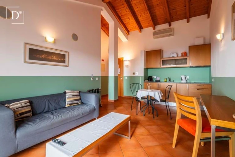 Negócio para Venda em Monchique Foto 51