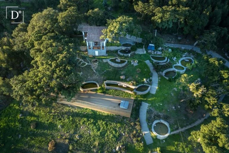 Negócio para Venda em Monchique Foto 88