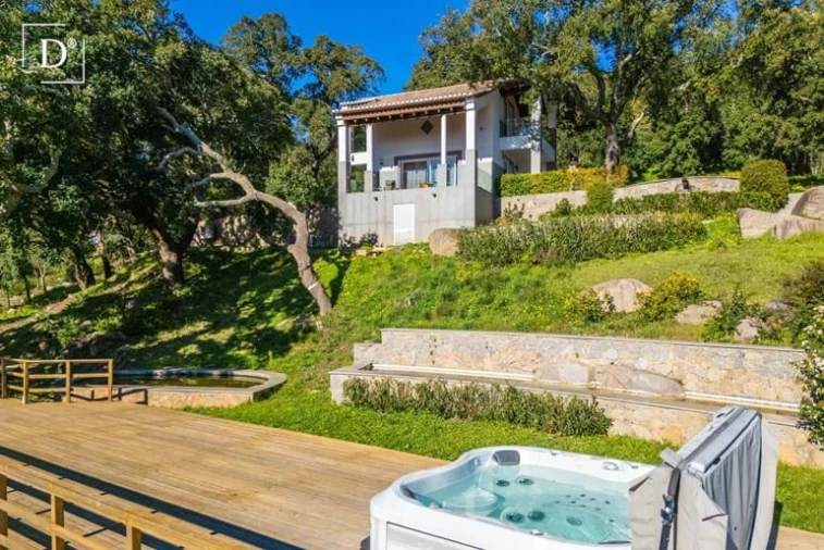 Negócio para Venda em Monchique Foto 101