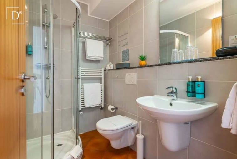 Negócio para Venda em Monchique Foto 35