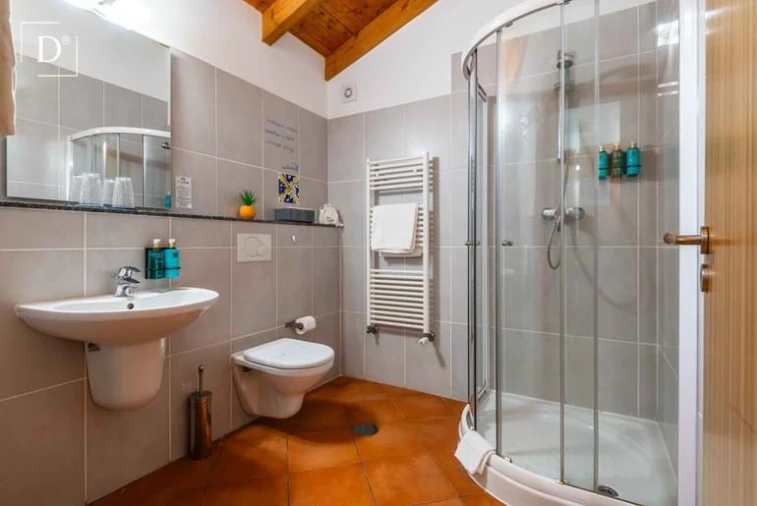 Negócio para Venda em Monchique Foto 78