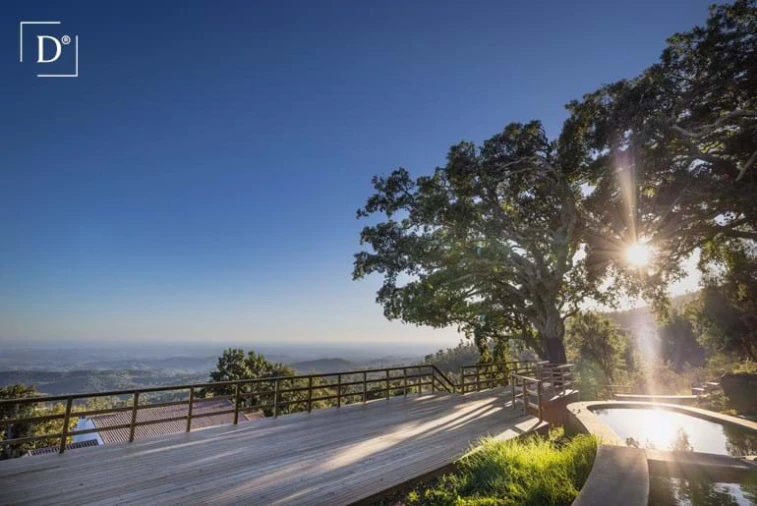 Negócio para Venda em Monchique Foto 91