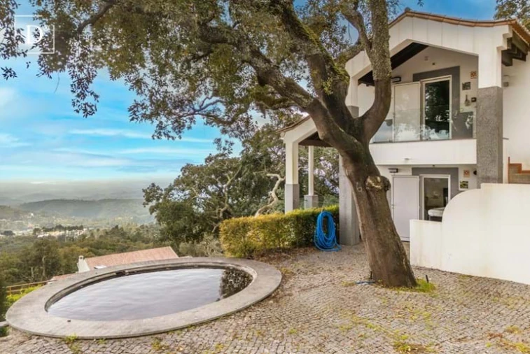 Negócio para Venda em Monchique Foto 20