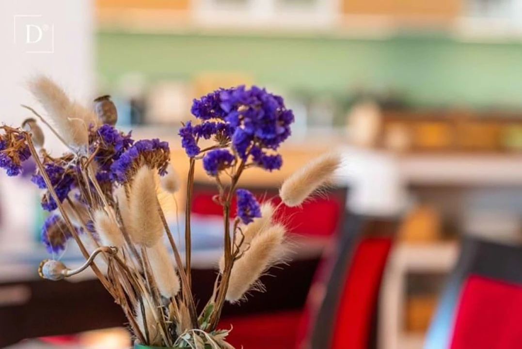 Negócio para Venda em Monchique Foto 18