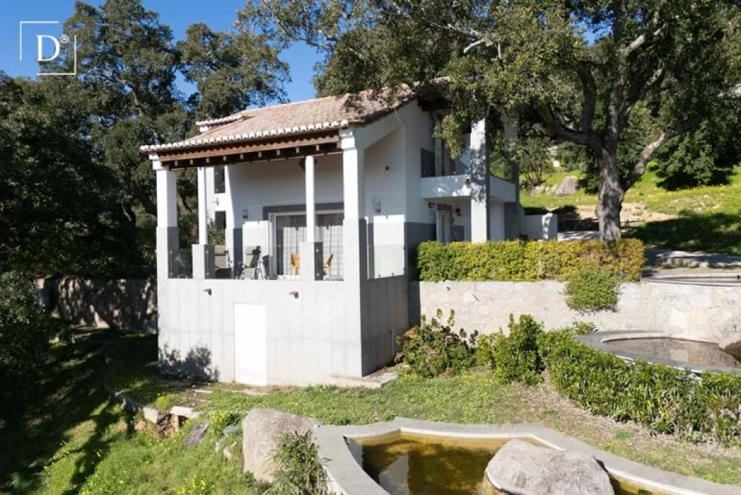 Negócio para Venda em Monchique Foto 99