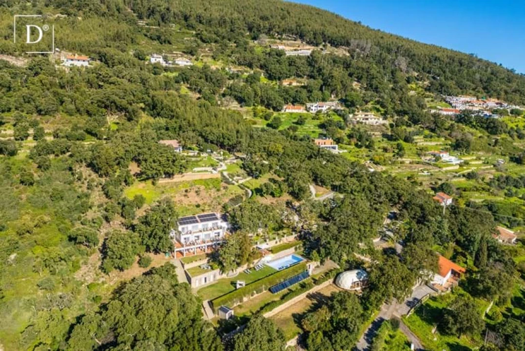 Negócio para Venda em Monchique Foto 96