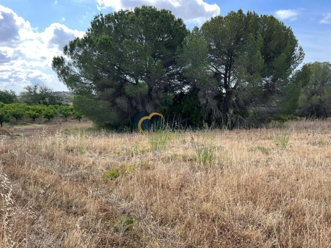 Terreno Agricola ou Rústico para Venda em Boliqueime Foto 4