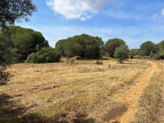 Terreno Agricola ou Rústico para Venda em Boliqueime Foto 7