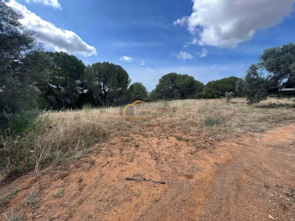 Terreno Agricola ou Rústico para Venda em Boliqueime Foto 2