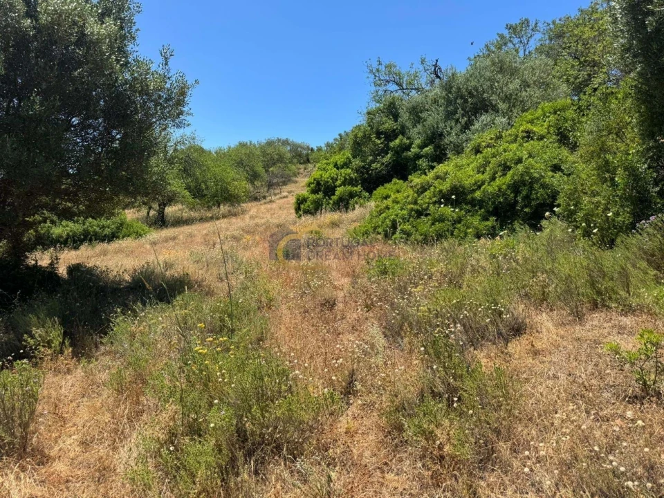 Terreno Agricola ou Rústico para Venda em Boliqueime Foto 5