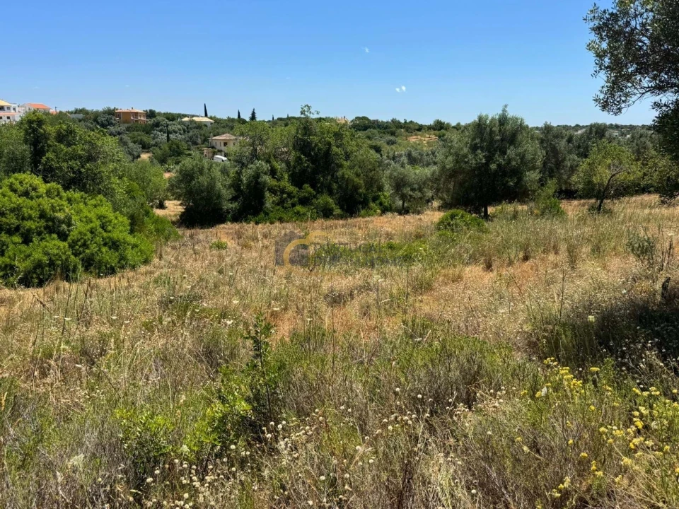 Terreno Agricola ou Rústico para Venda em Boliqueime Foto 7