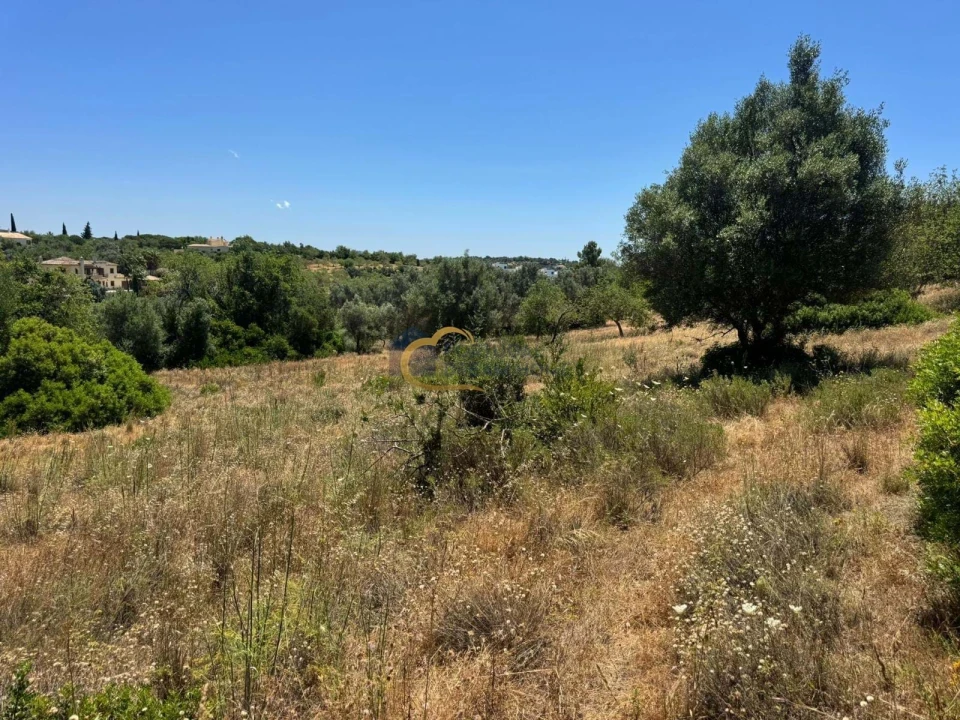 Terreno Agricola ou Rústico para Venda em Boliqueime Foto 4