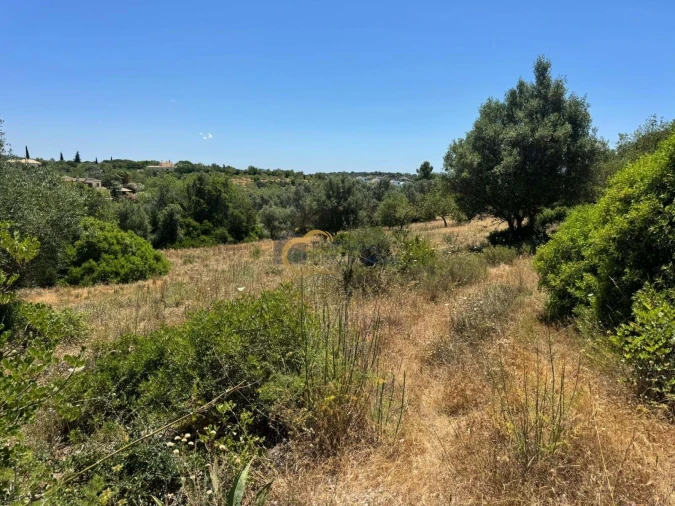 Terreno Agricola ou Rústico para Venda em Boliqueime Foto 2