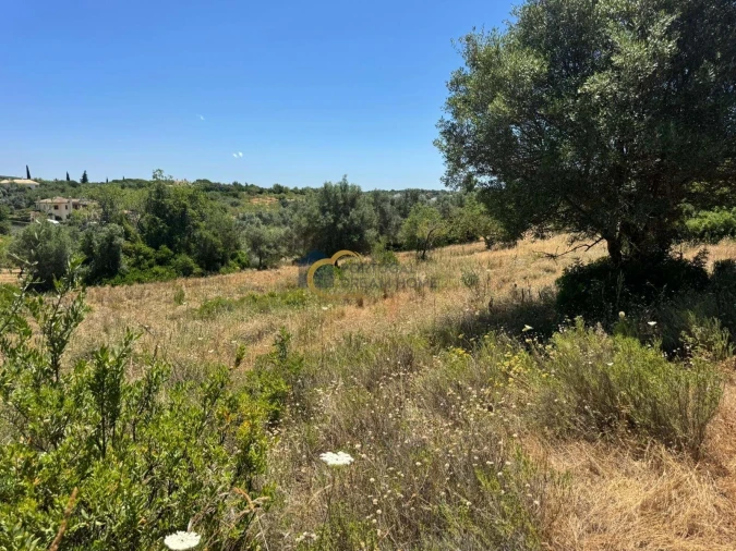 Terreno Agricola ou Rústico para Venda em Boliqueime Foto 6