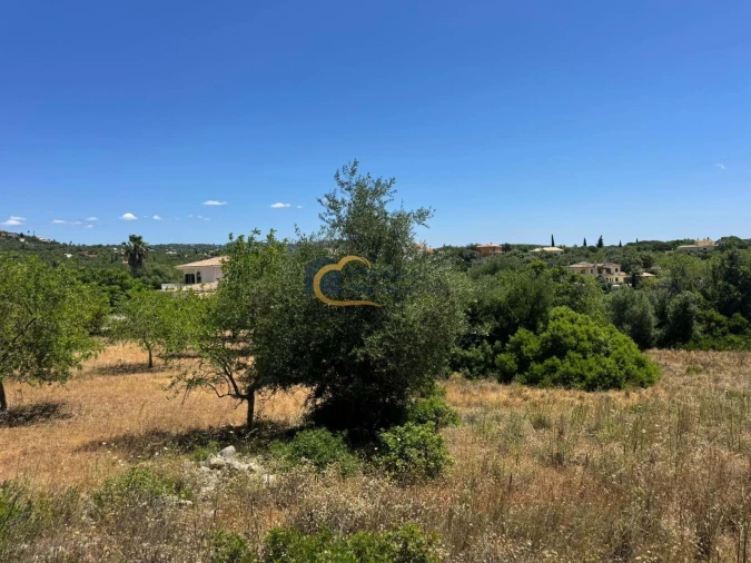 Terreno Agricola ou Rústico para Venda em Boliqueime Foto 3
