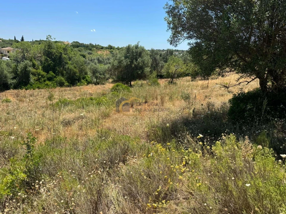 Terreno Agricola ou Rústico para Venda em Boliqueime Foto 8