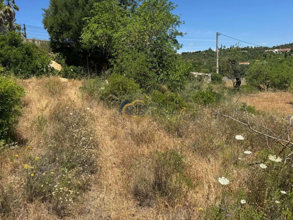 Terreno Agricola ou Rústico para Venda em Boliqueime Foto 9