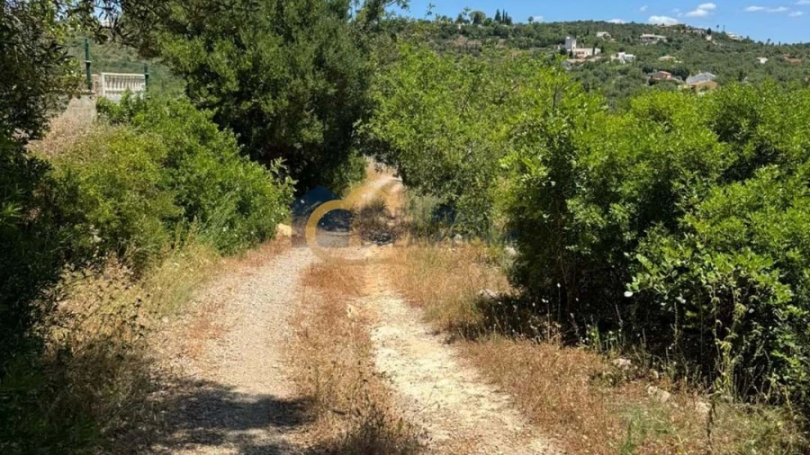 Terreno Agricola ou Rústico para Venda em Boliqueime