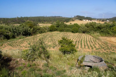 Moradia T4 para Venda em Aljezur