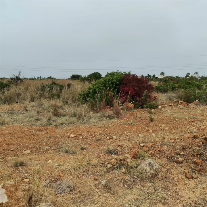 Terreno Agricola ou Rústico para Venda em Guia Foto 23
