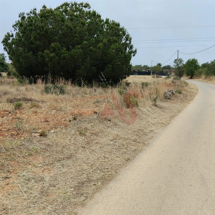Terreno Agricola ou Rústico para Venda em Guia Foto 16