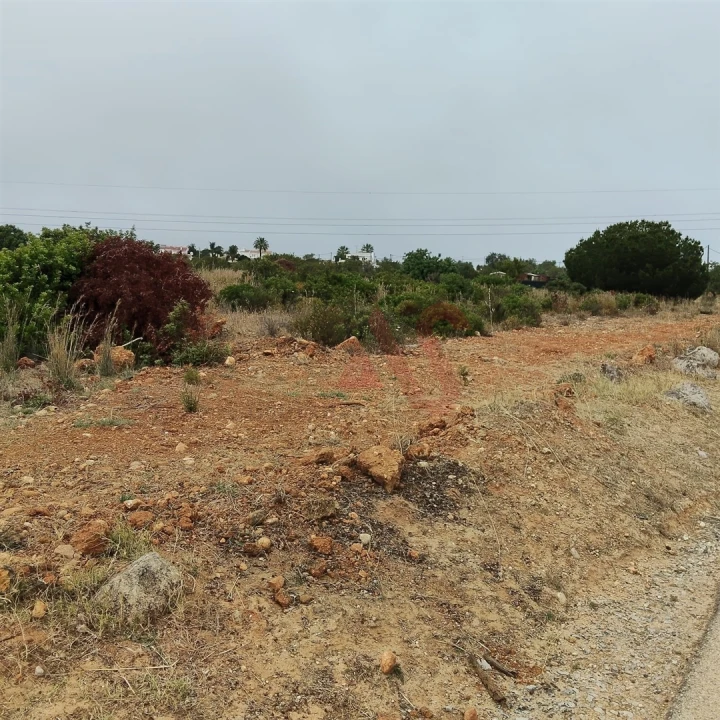 Terreno Agricola ou Rústico para Venda em Guia Foto 20