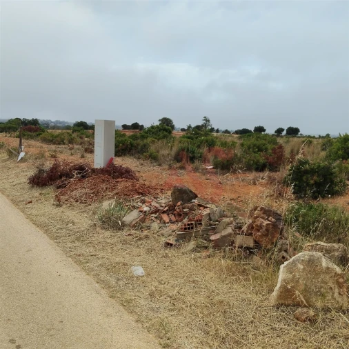 Terreno Agricola ou Rústico para Venda em Guia Foto 14