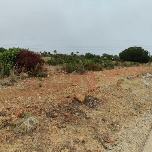 Terreno Agricola ou Rústico para Venda em Guia Foto 20