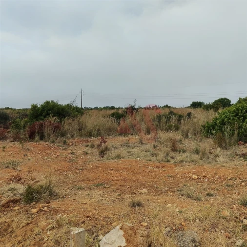 Terreno Agricola ou Rústico para Venda em Guia Foto 22