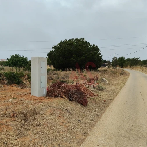 Terreno Agricola ou Rústico para Venda em Guia Foto 18
