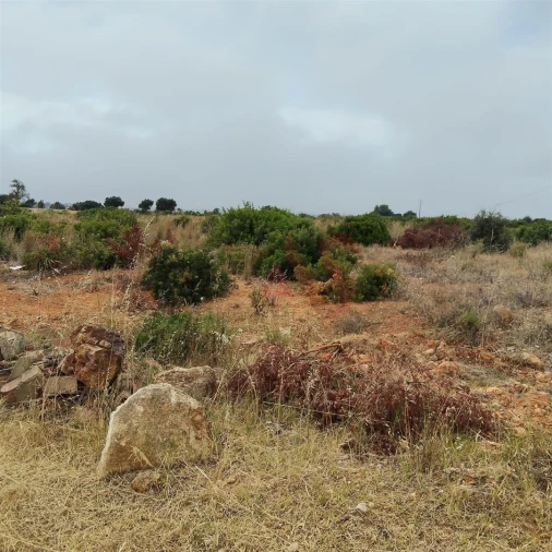 Terreno Agricola ou Rústico para Venda em Guia Foto 15