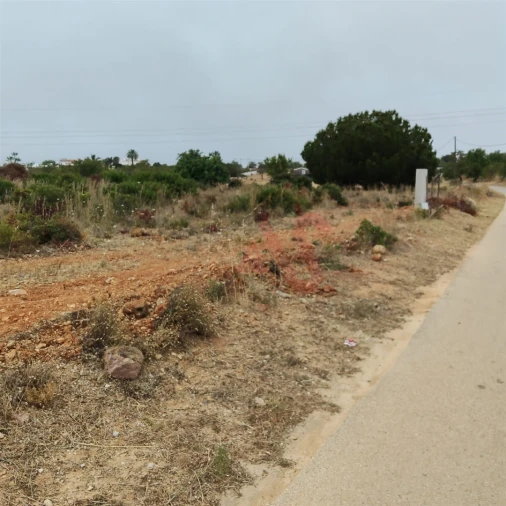 Terreno Agricola ou Rústico para Venda em Guia Foto 17