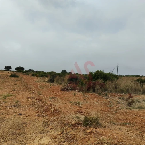 Terreno Agricola ou Rústico para Venda em Guia Foto 21