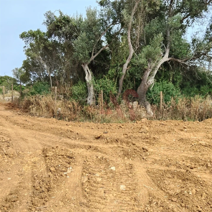 Terreno Agricola ou Rústico para Venda em Guia Foto 9
