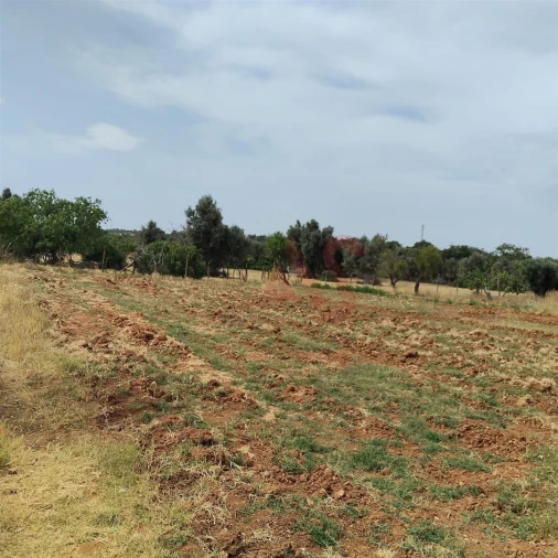 Terreno Agricola ou Rústico para Venda em Guia Foto 10