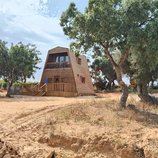 Terreno Agricola ou Rústico para Venda em Guia Foto 2