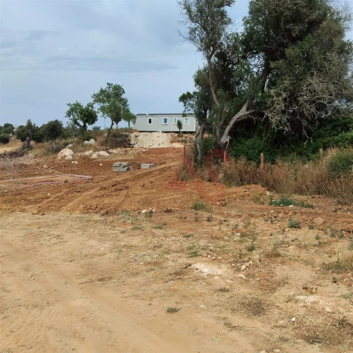 Terreno Agricola ou Rústico para Venda em Guia Foto 3