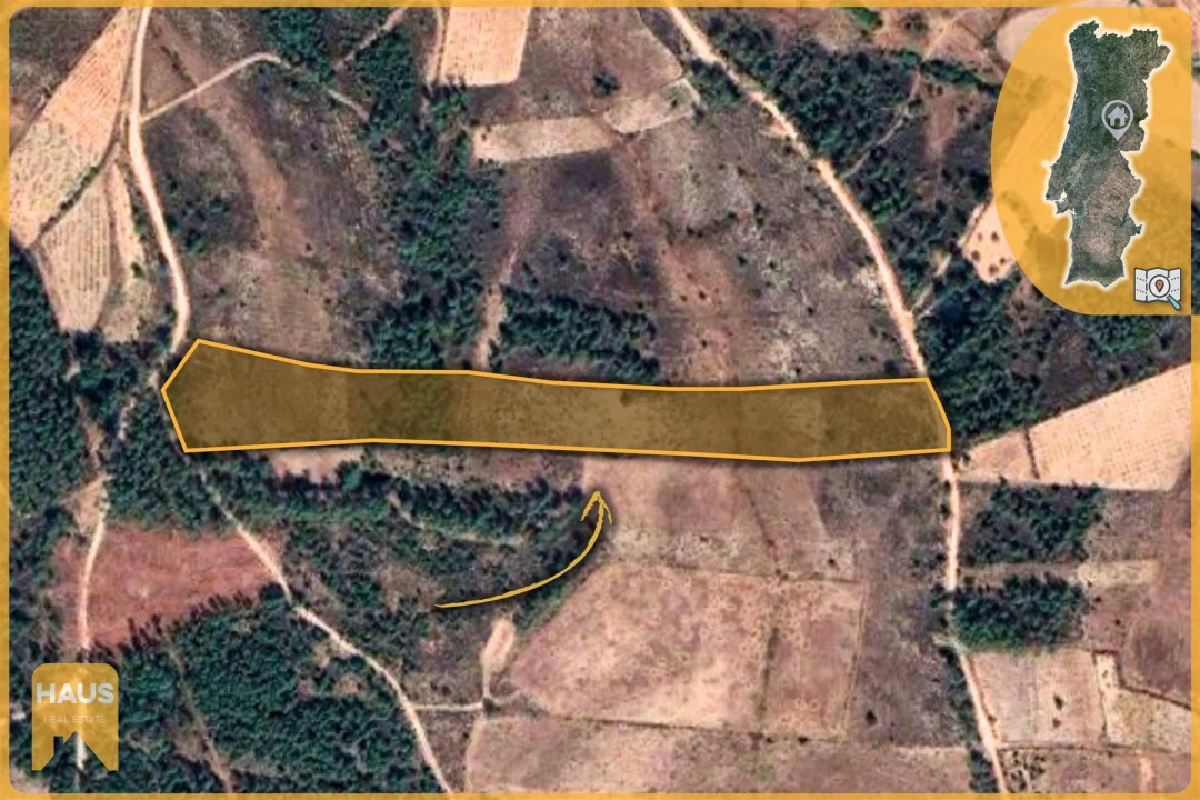 Terreno Agricola ou Rústico para Venda em Freixial e Juncal do Campo Foto 2