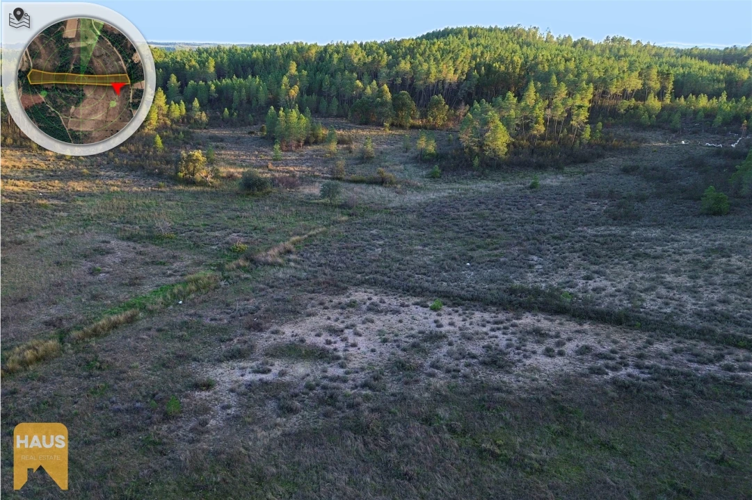 Terreno Agricola ou Rústico para Venda em Freixial e Juncal do Campo Foto 15
