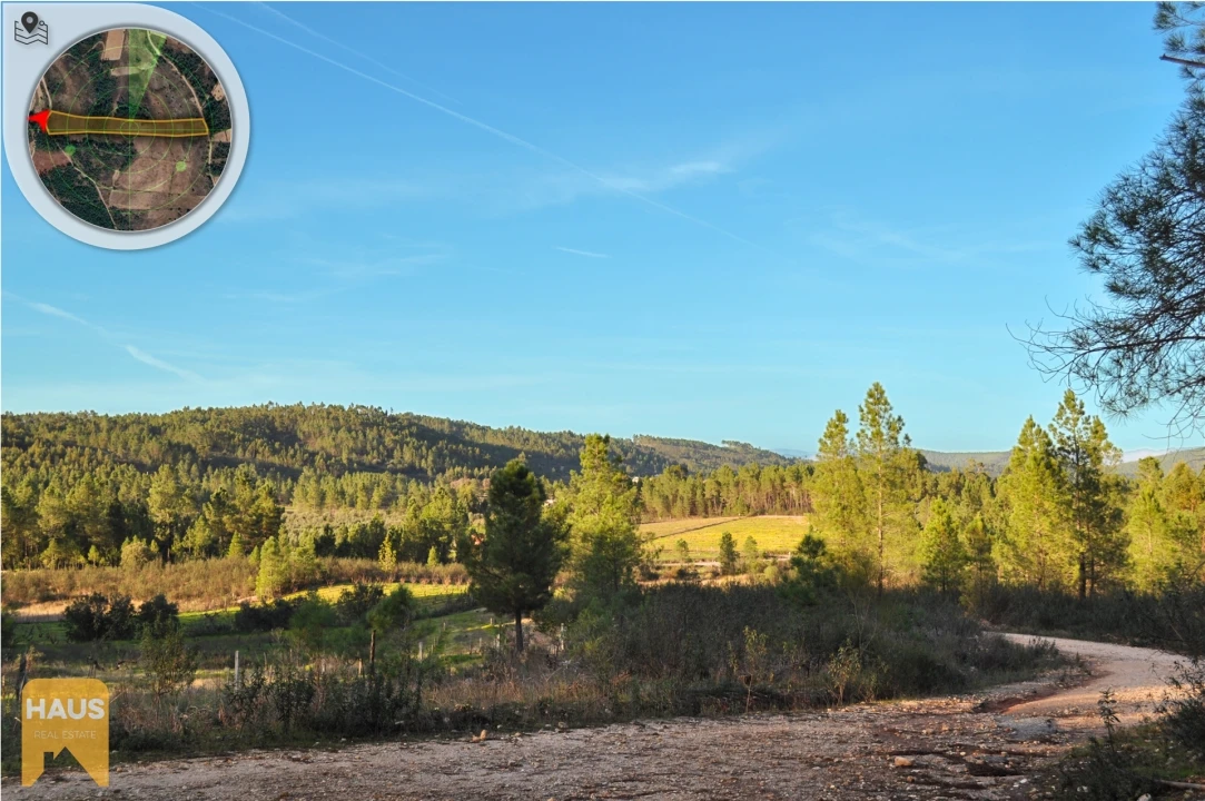Terreno Agricola ou Rústico para Venda em Freixial e Juncal do Campo Foto 6