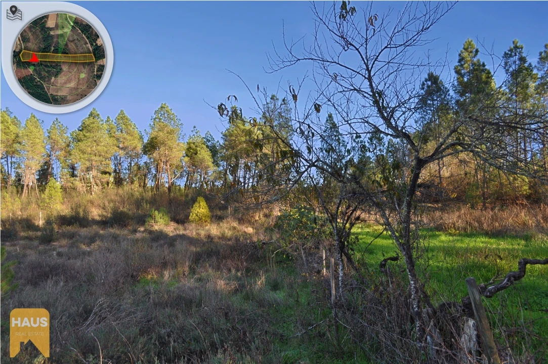 Terreno Agricola ou Rústico para Venda em Freixial e Juncal do Campo Foto 3