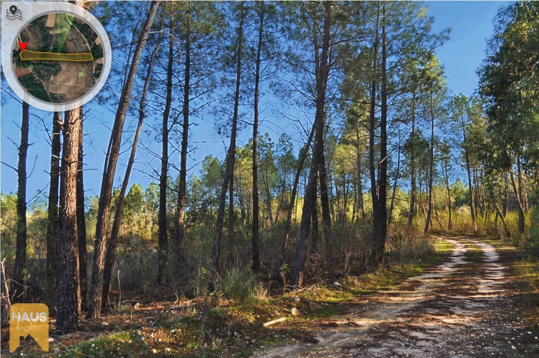 Terreno Agricola ou Rústico para Venda em Freixial e Juncal do Campo Foto 25